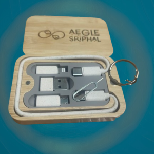 Bamboo Travel Charger Kit