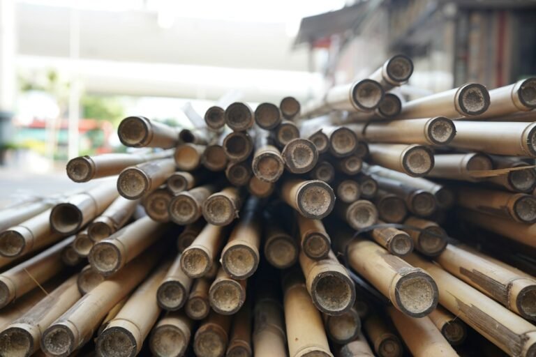 A pile of cut bamboo stalks with open ends